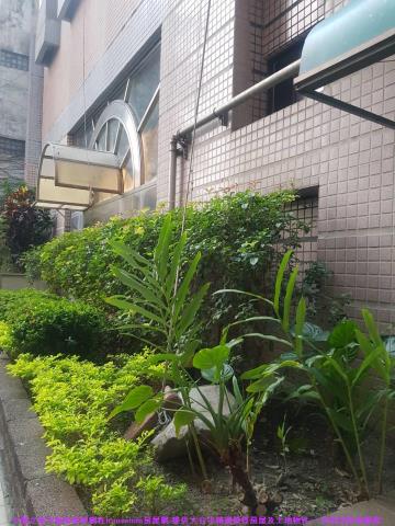 潭子大樓-12