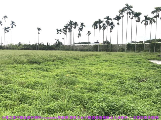 台中透天-0