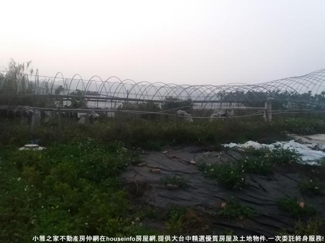 新社農地-0