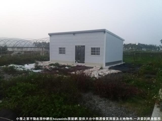 新社農地-1
