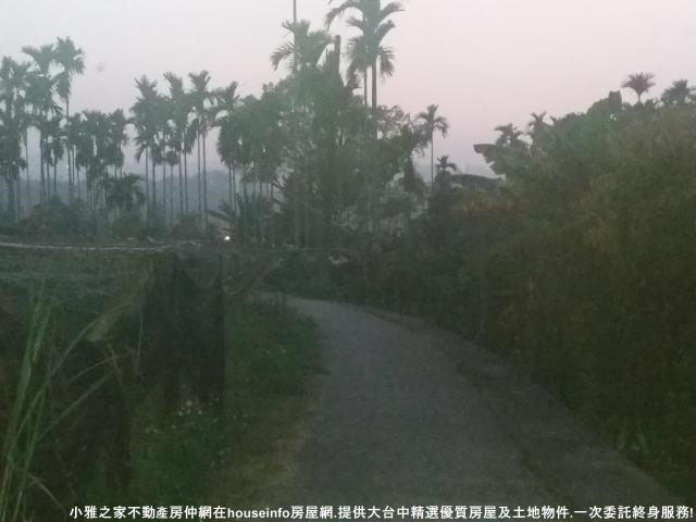 新社農地-3