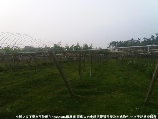 新社農地-4