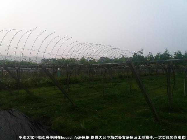 新社農地-5