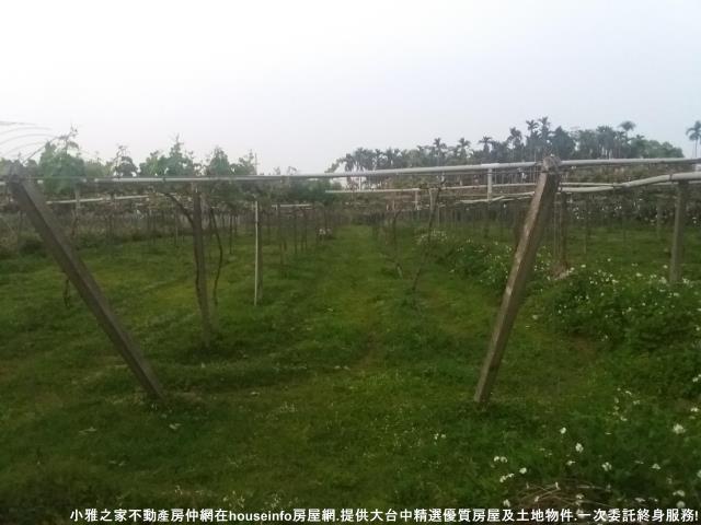 新社農地-6