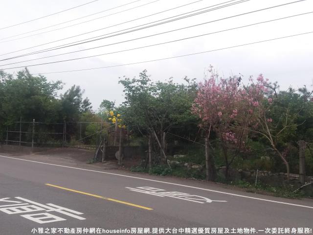 台中新社農地-0