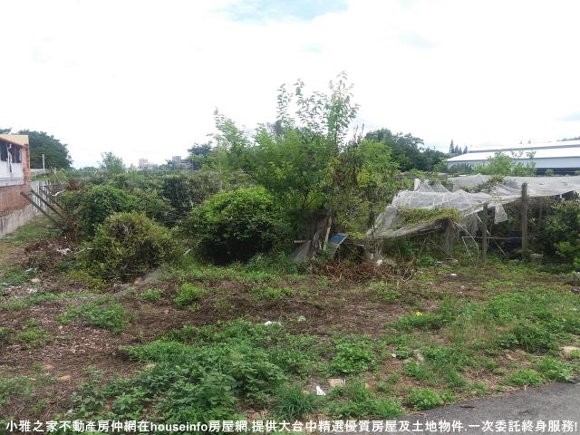 台中新社農地-6