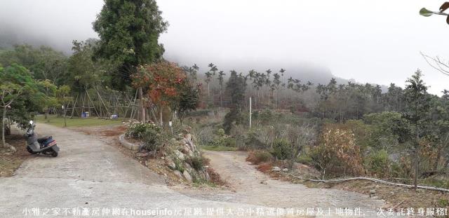 南投農地-9