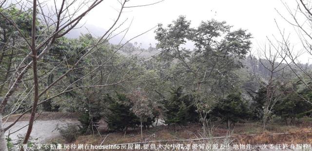南投農地-1
