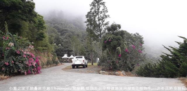 南投農地-4