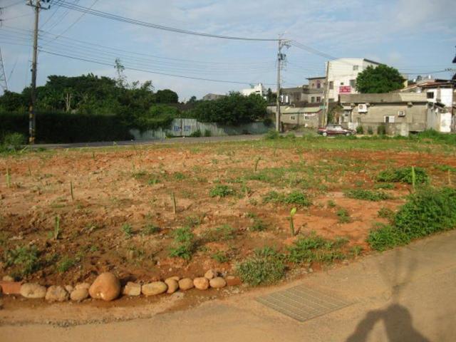 台中龍井農地-2