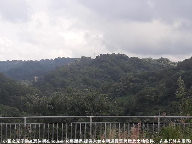 豐原山坡地-1