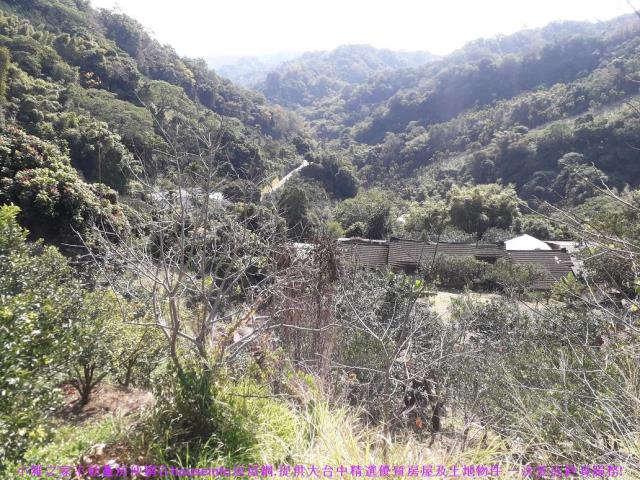 豐原山坡地-10