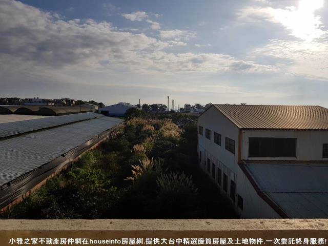 新社農地-0