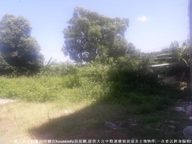 豐原建地-0