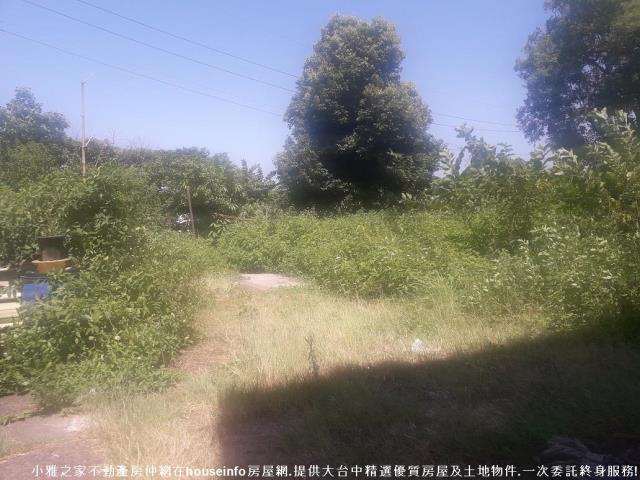 豐原建地-1