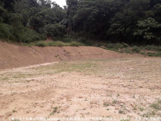 潭子山坡地-1