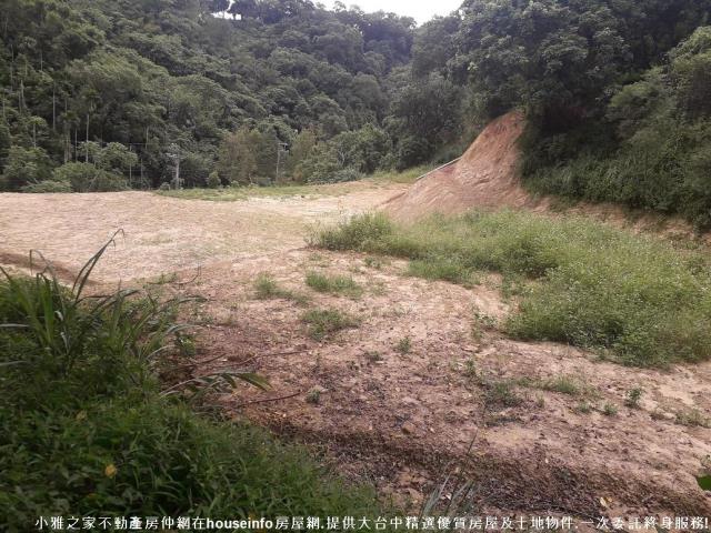 潭子山坡地-3