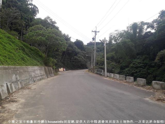 潭子山坡地-8