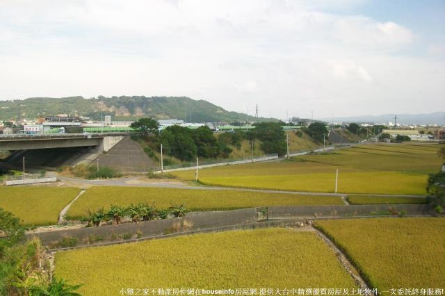 外埔農地-3