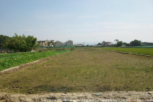 台中后里農地-2