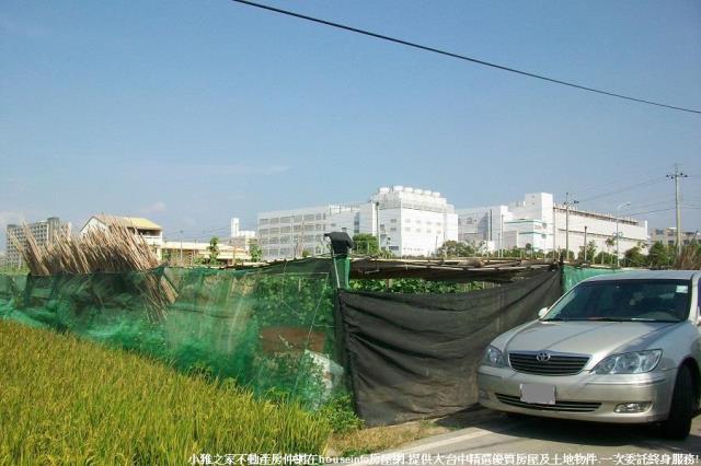 台中后里農地-1