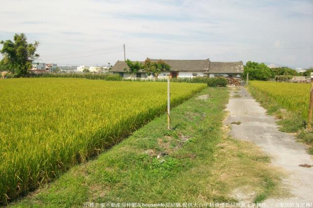 台中后里農地-2