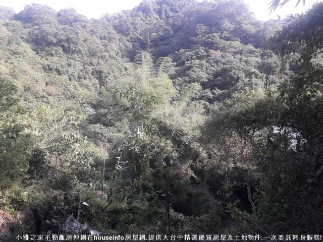 台中山坡地-0