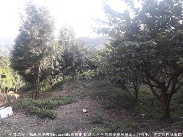 台中山坡地-2