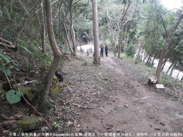 太平山坡地-3