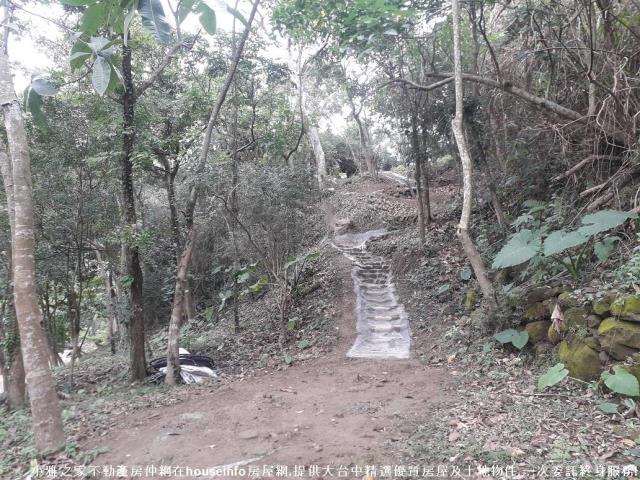 太平山坡地-4