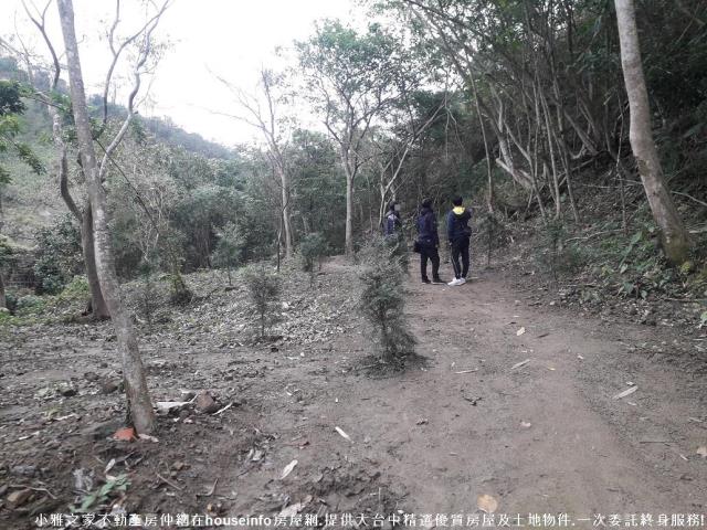 太平山坡地-6