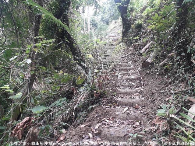 太平山坡地-1