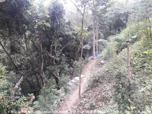 太平山坡地-2