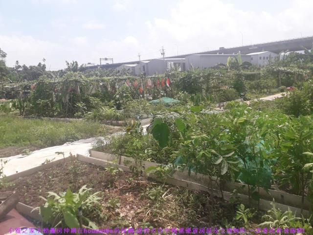 大里建地-2