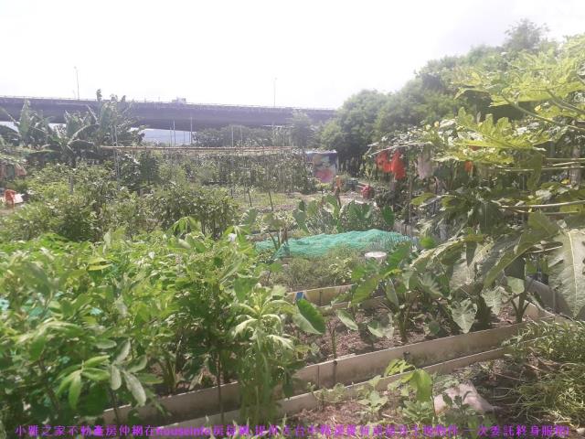 大里建地-3