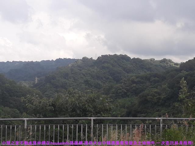 台中豐原農地-13