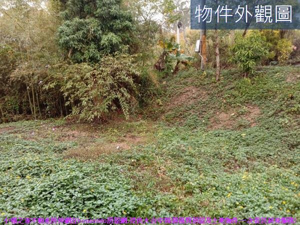 苗栗苑裡農地-12