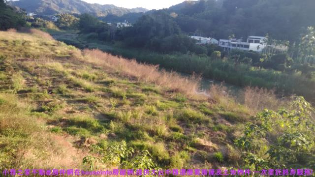 中寮山坡地-12