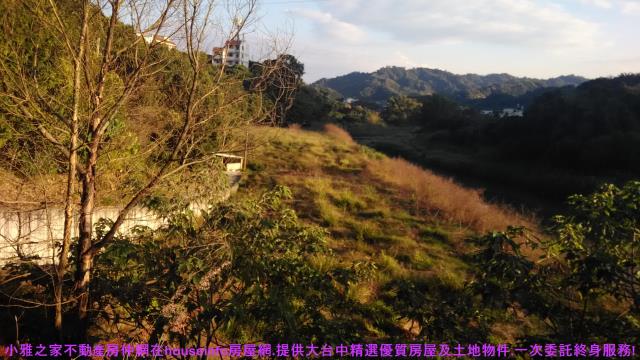 中寮山坡地-13