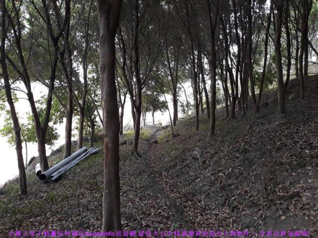 中寮山坡地-1