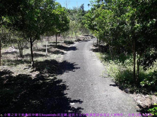 中寮山坡地-4
