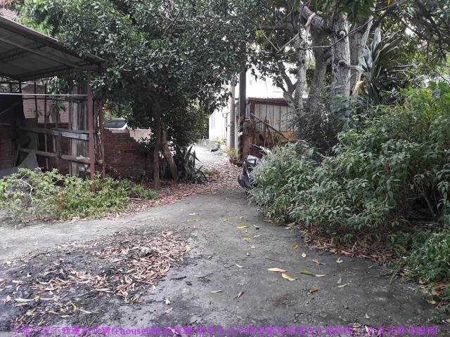 西屯農地-8
