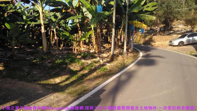 中寮山坡地-10