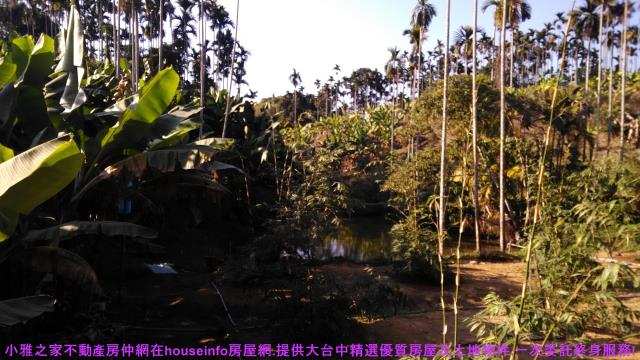 中寮山坡地-2