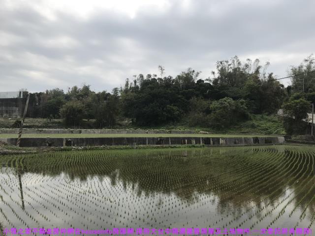 台中農地-0
