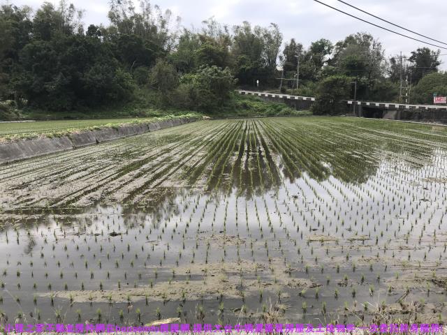 台中農地-4