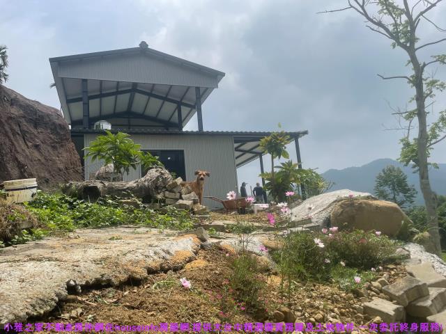 國姓農地-11