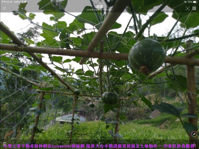 國姓農地-13