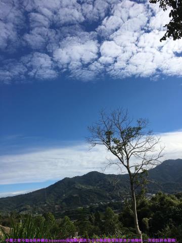 國姓農地-7