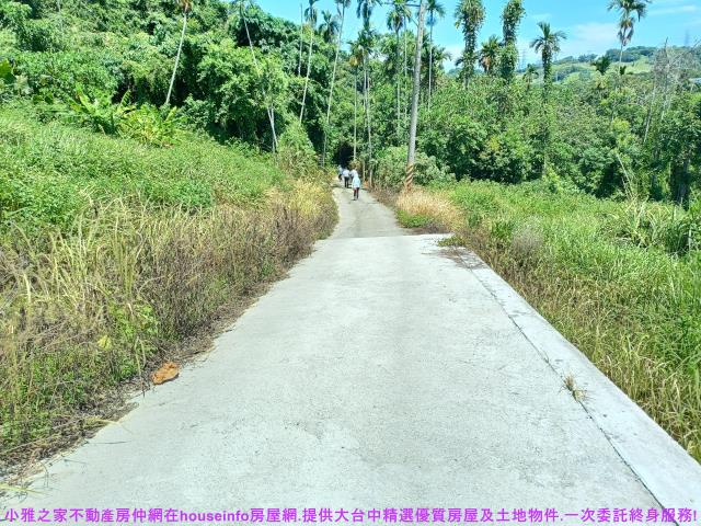 中寮農地-1